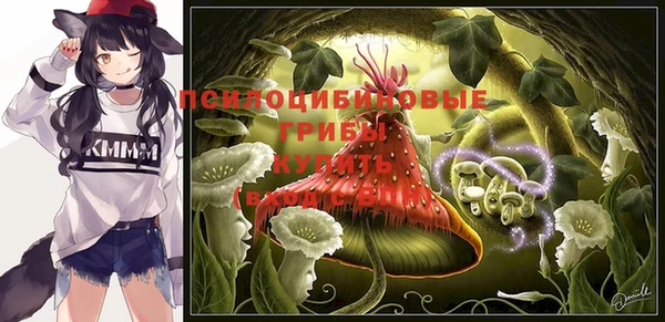 мяу мяу мука Белокуриха